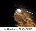 White golf ball in golden dry...