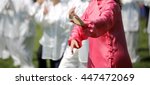 Tai Chi Martial Art Woman With...