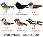 Cute Bird Vector Illustration...