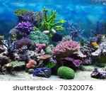 Aquarium Corals Reef