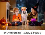 Small photo of Little boy and dog in witch costume on Halloween trick or treat. Kids holding candy in pumpkin lantern bucket. Children celebrate Halloween at decorated fireplace. Family trick or treating.