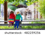 Two children, little toddler boy and preschool girl, brother and sister, watching elephant animals at the zoo on sunny summer day. Wildlife experience for kids at animal safari park. 