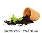 flower pot with spilled out soil isolated, damage concept