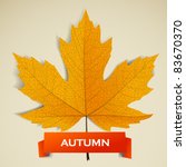 Maple Leave With Autumn Banner