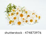 bunch of fresh chamomile... | Shutterstock . vector #474873976