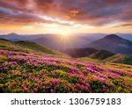 Mountains during flowers...