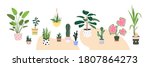 home plants in flowerpot.... | Shutterstock .eps vector #1807864273