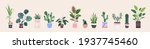 home plants in flowerpot.... | Shutterstock .eps vector #1937745460