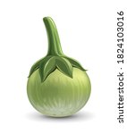 thai eggplant green fresh... | Shutterstock .eps vector #1824103016