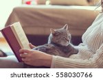 Small photo of Soft cuddly tabby cat lying in its owner's lap enjoying and purring while the owner is reading a book. Focus on the cat; warm, cozy, domestic atmosphere, selective focus