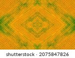 A symmetrical pattern formed by pattern of surface of yellow-green ficus leaf texture . The image with the mirror effect. Amazing seamless pattern of veins of fallen leaf.