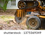 A Stump Grinding  Machine Removing a Stump from Cut Down Tree