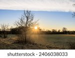 The rays of the rising morning sun shine through the trees in the fields and meadows of Siebenbrunn, the smallest district of the Fugger city of Augsburg