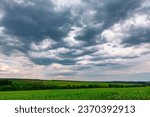 Cloudy sky over the field with sunflowers . Low clouds over the agricultural field