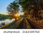 Beautiful road in green forest at sunset in summer. Colorful landscape with woods, bike road, walking people, sun rays, green trees, grass at sunny evening. Walkway in blooming park in spring. Nature