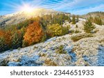 Small photo of In the tranquil embrace of autumn, the mountains come alive with the first snowfall. Towering trees adorned in golden foliage create a stunning contrast against the white landscape.