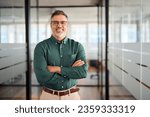 Small photo of Smiling older bank manager or investor, happy middle aged business man boss leader, confident mid adult professional businessman executive standing in office hallway, mature entrepreneur portrait.
