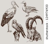 digital drawing of stork ... | Shutterstock .eps vector #124976933