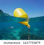 A Yellow Beacon Buoy In The Sea ...
