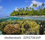 Small photo of Tropical coastline with a coral reef underwater, split level view over and under water surface, Pacific ocean, French Polynesia, Huahine island