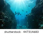 Small photo of Small canyon underwater carved by the swell into the fore reef with sunlight through water surface, Huahine island, Pacific ocean, French Polynesia