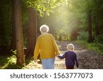 Elderly grandmother and her little grandchild walking together in sunny summer park. Grandma and grandson. Two generations of family.