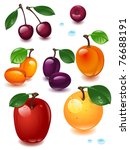 complete set berry on a white... | Shutterstock .eps vector #76688191