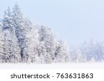Winter Forest With Snow And...
