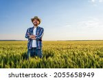 Small photo of Farmer is standing in his growing wheat field. He is happy because of successful sowing.