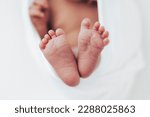 Small photo of Newborn baby feet photographed on white background.