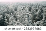 Small photo of ungraded, d-log Beautiful Snowy White Forest In Winter Frosty Day. Aerial View Flight Above Amazing Pine Forest. Landscape. Scenic View Of Park Woods. Nature Elevated View Of Winter Frost Woods. Snowy