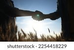 Small photo of handshake farmer wheat. business partnership agriculture concept. silhouette two farmers shaking hands conclude a contract agreement in a field sun of wheat glare. agriculture handshake concept