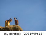 Two Goat Sculptures On Top Of A ...