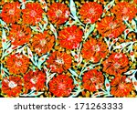 hand drawn red flowers on a... | Shutterstock . vector #171263333