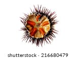 Purple Sea Urchin Roe On A...
