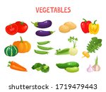 bright vector illustration of... | Shutterstock .eps vector #1719479443