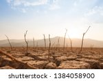 Dead trees on drought and cracked land at dry river or lake, metaphor climate change, global warming and water crisis at africa or ethiopia
