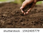 Expert hand of farmer checking soil health before growth a seed of vegetable or plant seedling. Gardening technical, Agriculture concept.
