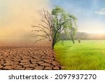 Climate change, Dead tree with air pollution and green grass with beautiful sunlight sky metaphor world nature disaster and global warming concept.	