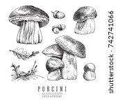 Cep Mushrooms Vector Sketch Set ...