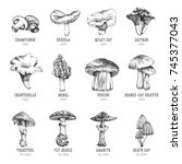 Forest Types Of Mushrooms...