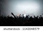 cheering crowd at concert  ... | Shutterstock . vector #1142048579