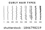 vector illustration of hair... | Shutterstock .eps vector #1846798219