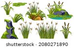 Logs, stumps, stone in moss. Marsh reed, grass, swamp cattails. Cartoon broken tree in lichen in swamp jungle. Rock in tropical damp forest. Set isolated vector element on white background.