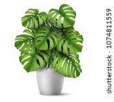 monstera in a pot. tropical... | Shutterstock .eps vector #1074811559
