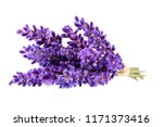 Bouguet of violet lavendula flowers isolated on white background, close up.