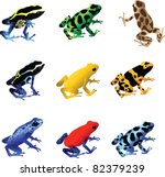 Green Arrow poison frog image - Free stock photo - Public Domain photo ...