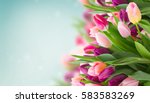 Spring Flowers Banner   Bunch...