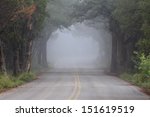 Foggy Forest Tunnel