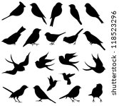 vector collection of bird... | Shutterstock .eps vector #118523296